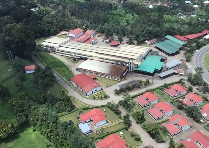 8-tägiger Congo-Nile-Trail - 2. Tag auf dem Congo Nile Trail, dann weiter nach Musanze über die Pfunda-Teefabrik - Tagesfoto