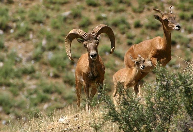 Viagem ao Uzbequistão, o legado de Tamerlão - Yangi-Gazgan → Aidarkul → Sentob → Asraf (125 km) – Café da manhã, almoço e jantar incluídos - Foto do dia