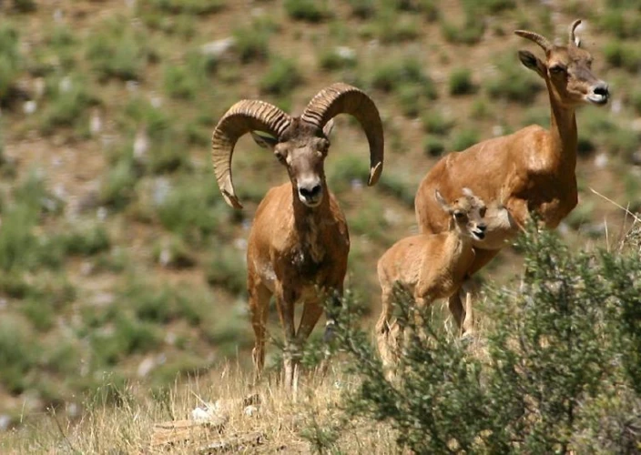 Viaje a Uzbekistán, el legado de Tamerlán - Yangi-Gazgan → Aidarkul → Sentob → Asraf (125 km) – Desayuno, almuerzo y cena incluidos - Foto del día