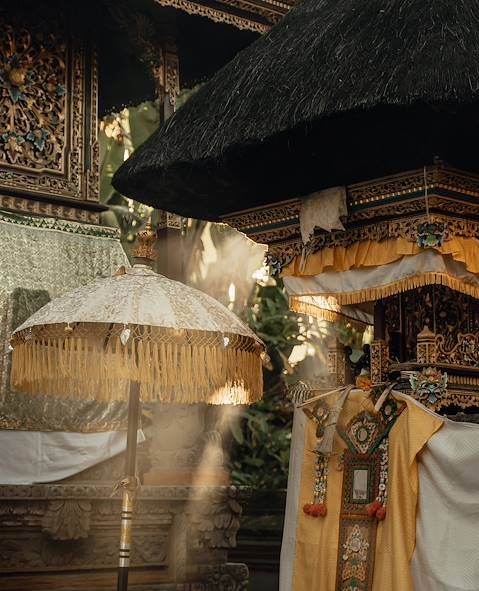 Ubud, ses rizières et plages du Sud - Arrivée à Bali / Installation à Ubud - Photo du jour