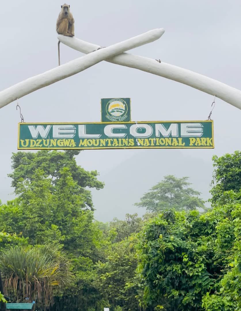 Explore the diverse landscapes and wildlife of Tanzania's hidden gems - Hike to Sanje Waterfalls | Back to Dar es Salaam - Photo of the day