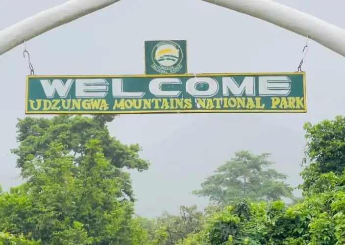 Explore the diverse landscapes and wildlife of Tanzania's hidden gems - Hike to Sanje Waterfalls | Back to Dar es Salaam - Photo of the day