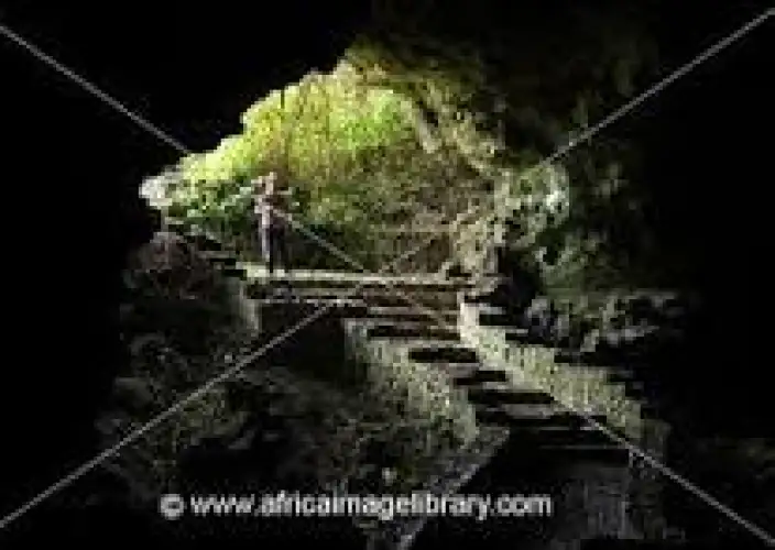 3-tägiges Gorilla-Trekking – Volcanoes NP - Besuchen Sie den Musanze-Markt, die Höhlen & das Dian Fossey Memorial - Tagesfoto