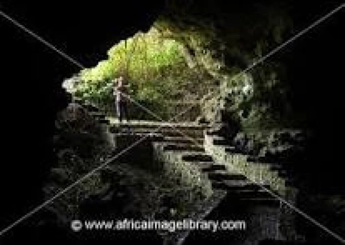 Trekking de gorilas de 3 días – Parque Nacional de los Volcanes - Visita el Mercado de Musanze, las Cuevas y el Memorial de Dian Fossey - Foto del día
