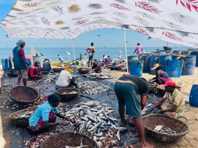 Ongewone ontmoetingen in het land van het groene goud