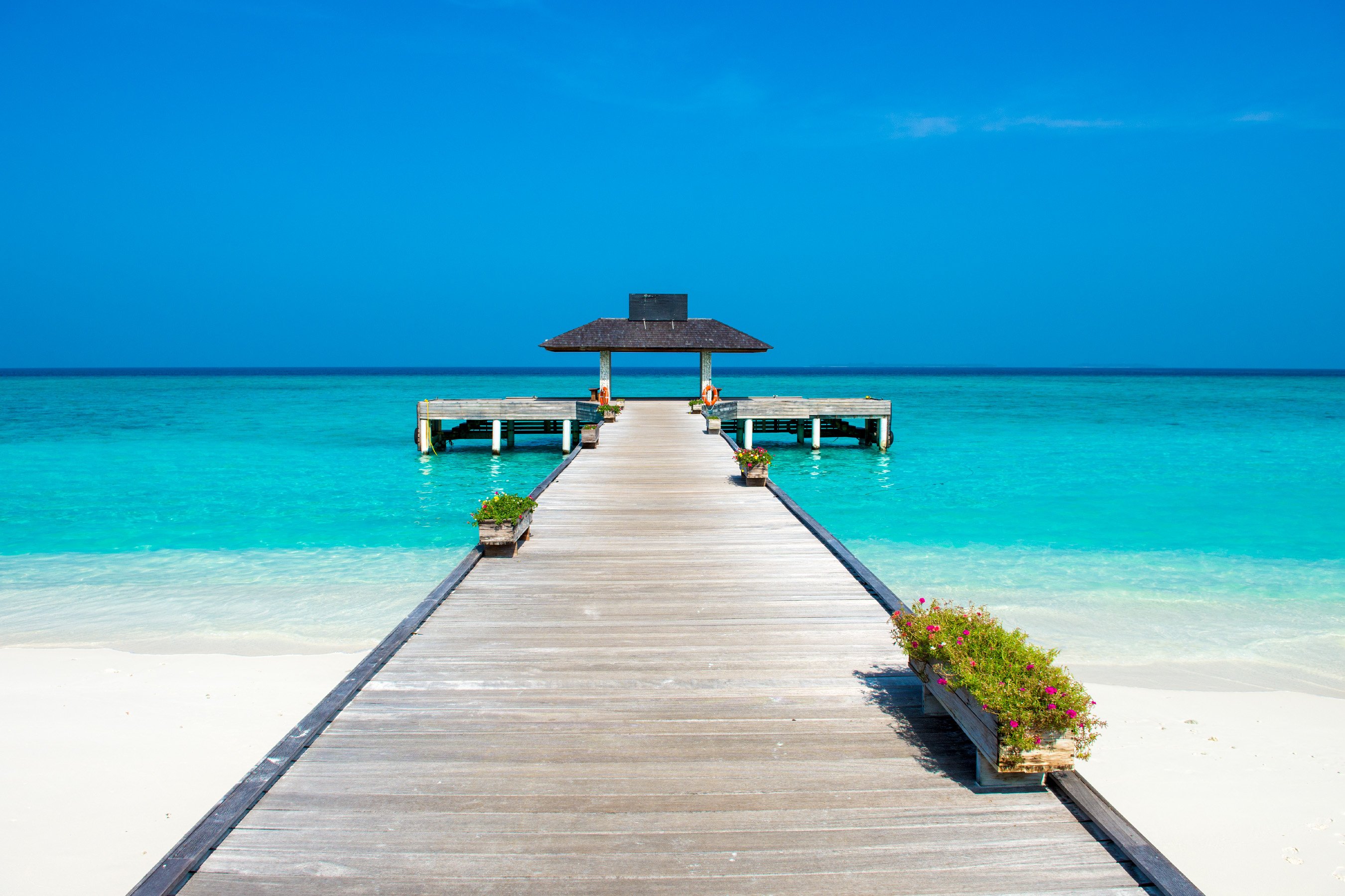 Coco Palm Dhuni Kolhu 4 - VILLAS BEACH - VILLAS PLAGE