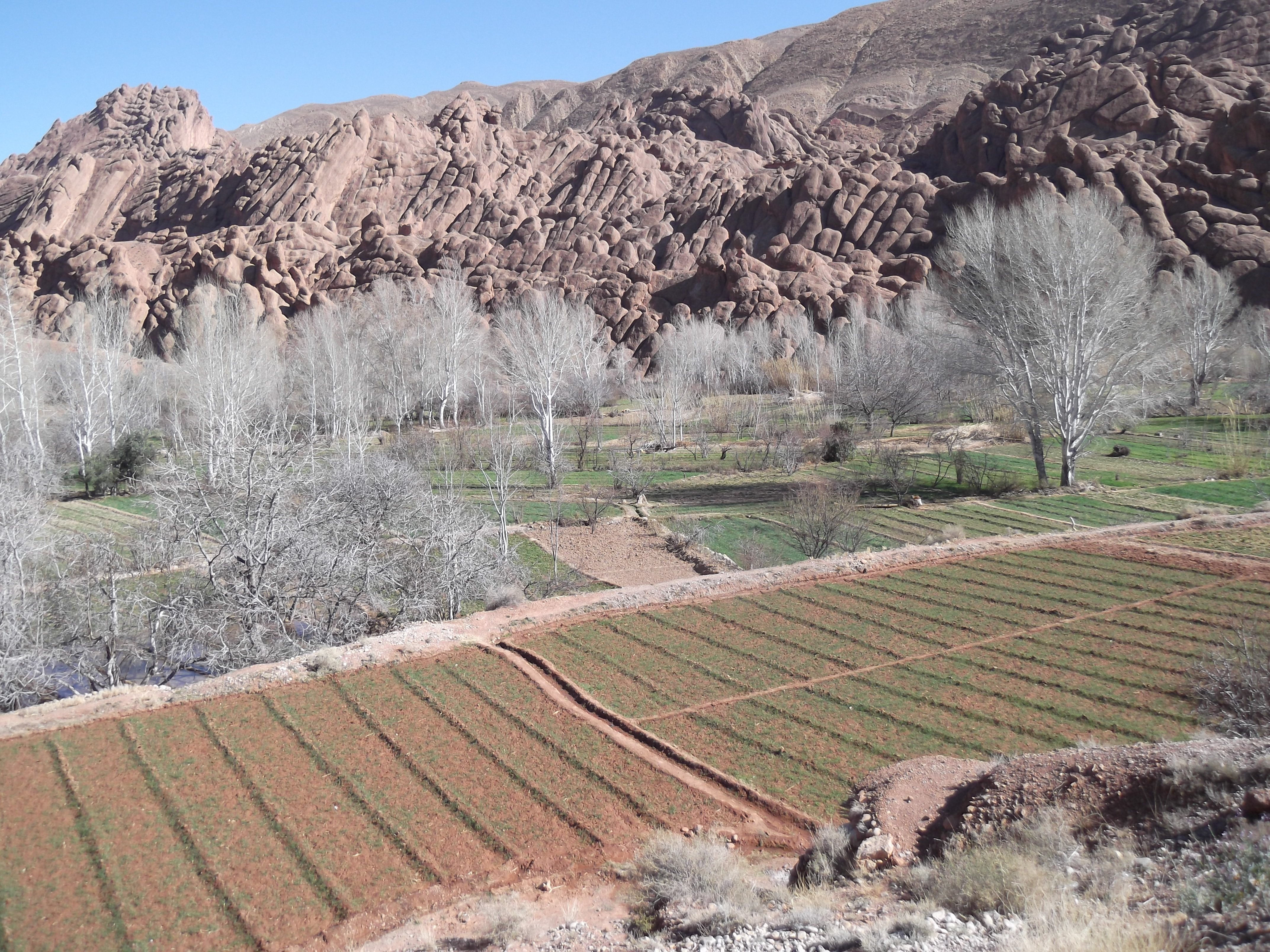 Gran Tour de Marruecos - Merzouga - Rissani - Gargantas del Todra - Boumalne Dades 3h 39min (253 km) - Foto del día