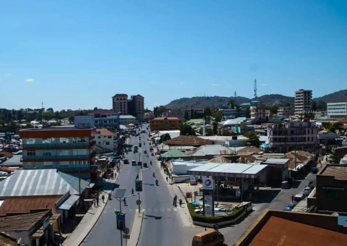 Explorez les paysages variés et la faune des trésors cachés de la Tanzanie - Parc national de Mikumi | Ville d'Iringa - Photo du jour