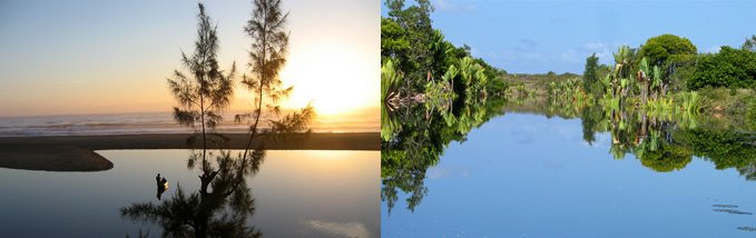 Circuit Est - Andasibe et Ankanin'ny Nofy - Akanin'ny Nofy - Antananarivo - Akanin'ny Nofy - Antananarivo