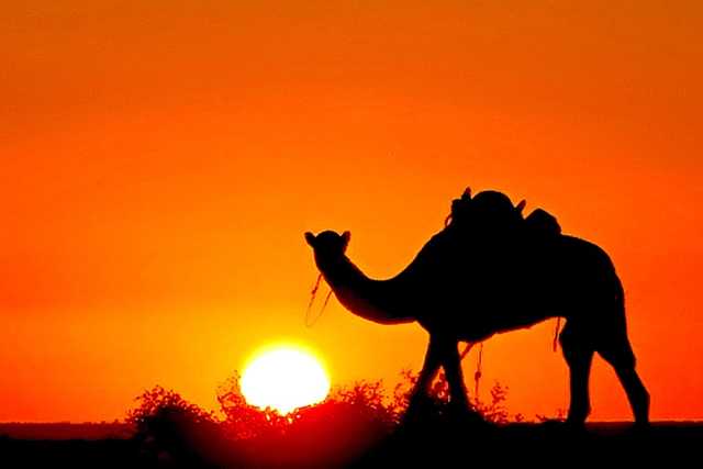 Chinguetti and the Erg Warane, immersion in the sands