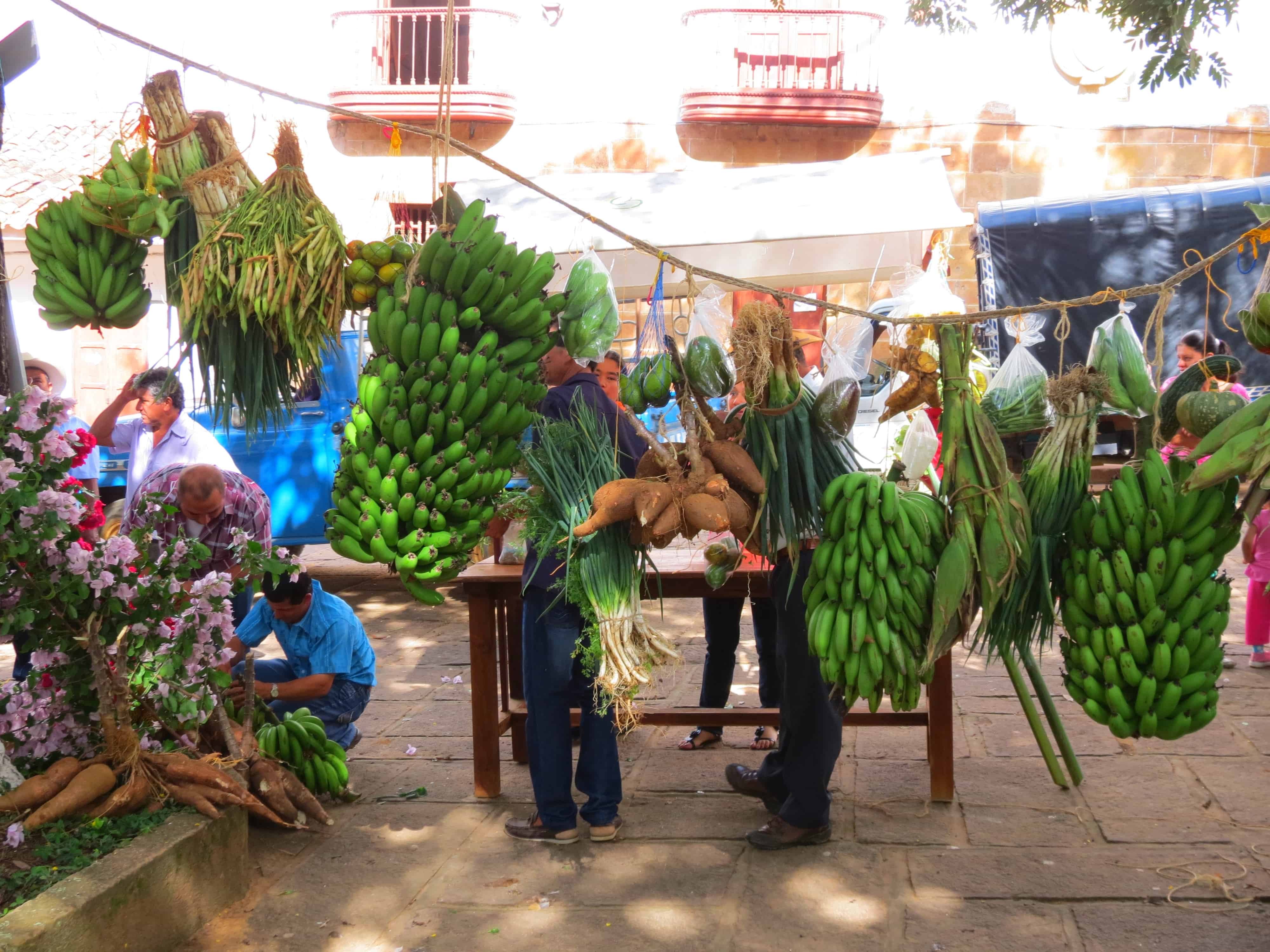 La Colombie en famille - 15 jours - Barichara - Bucaramanga - Pereira - Alcalá - Barichara - Bucaramanga - Pereira - Alcalá