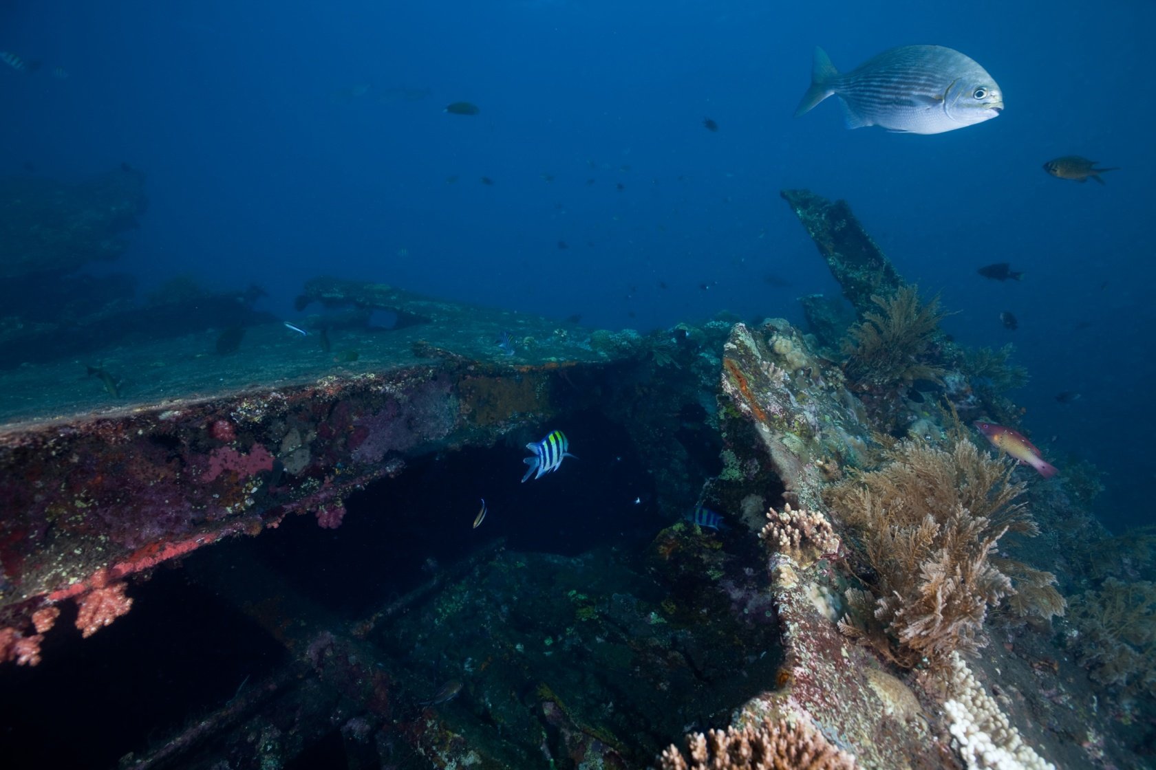 BALI, FLORES EN SUMATRA: DE GROTE REIS - Riung en het Taman Laut Marine Park - Riung et le parc marin de Taman Laut