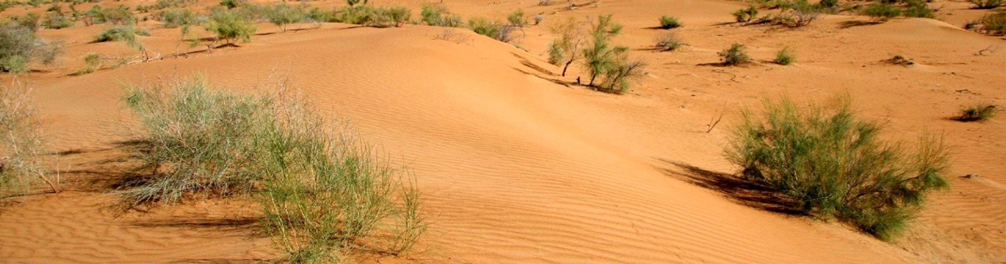 THE FASCINATING MONUMENTS OF THE SILK ROAD (15 days) - Khiva - Bukhara (by regular train) - Khiva - Boukhara (en train normal)