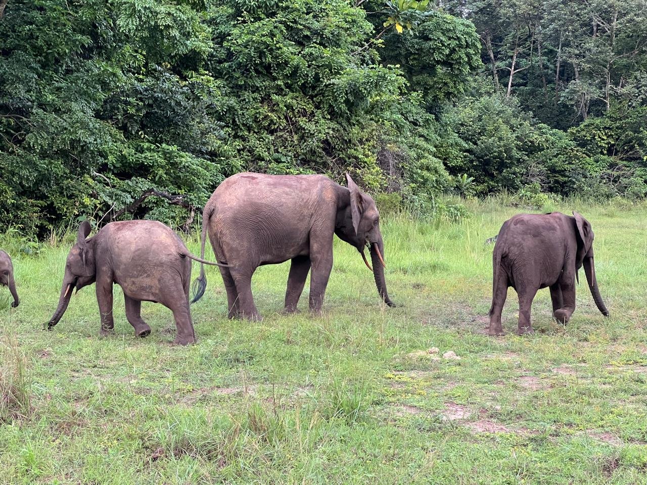 Ontdekking van Nyonié - Nyonié - Foto van de dag