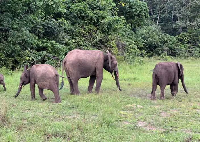 Ontdekking van Nyonié - Nyonié - Foto van de dag