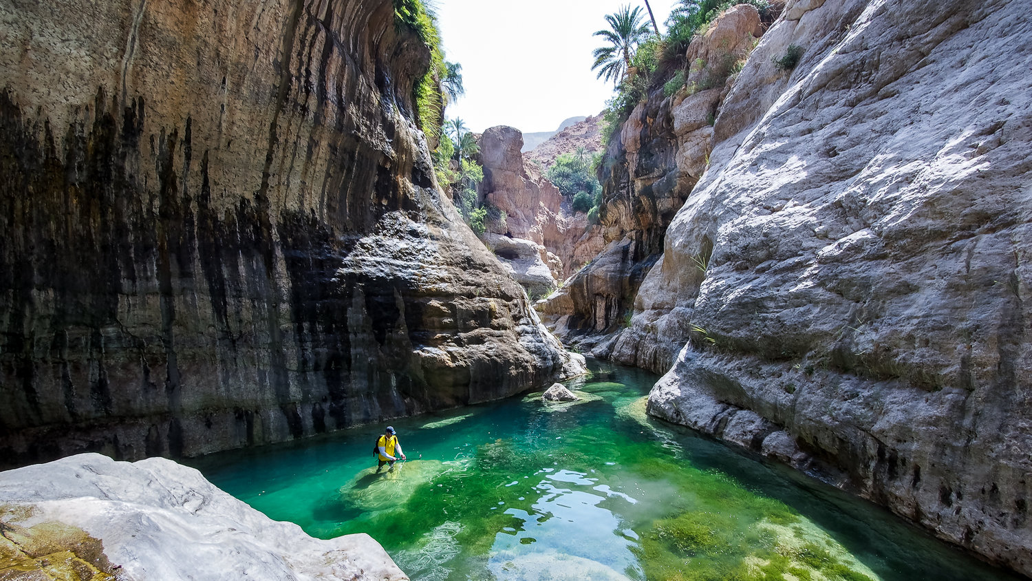 Esperienza di 8 giorni tra le meraviglie senza tempo dell'Oman - Avventura a Wadi Shab & Wadi Tiwi 🌄🌊 - Foto del giorno