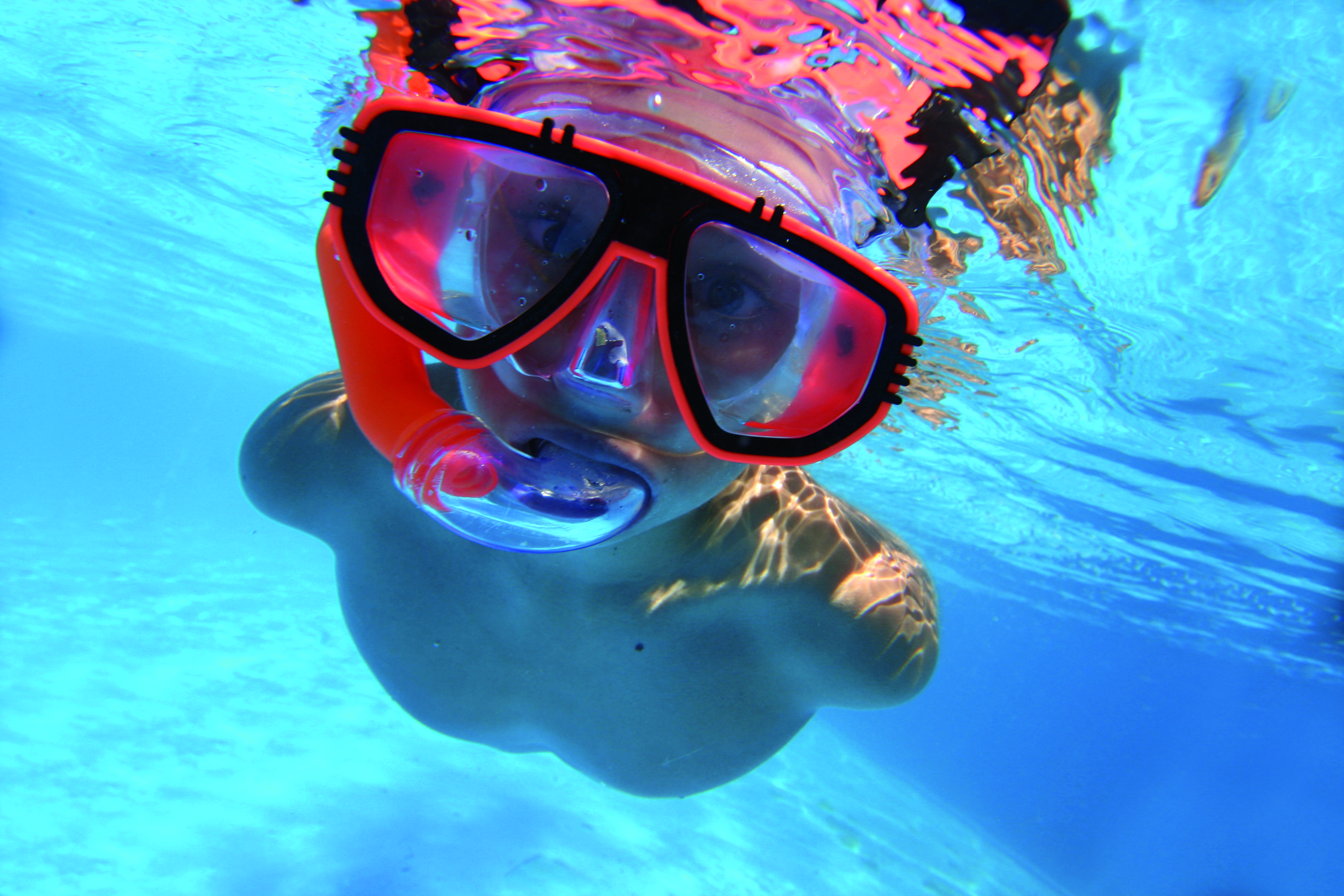 Bali: sensaciones en grupo pequeño - Snorkel y masajes balineses (opcional) - Snorkeling et massages Balinais (En option)