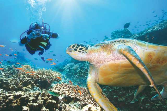 Dream Maldives Premium Katamaran-Kreuzfahrt