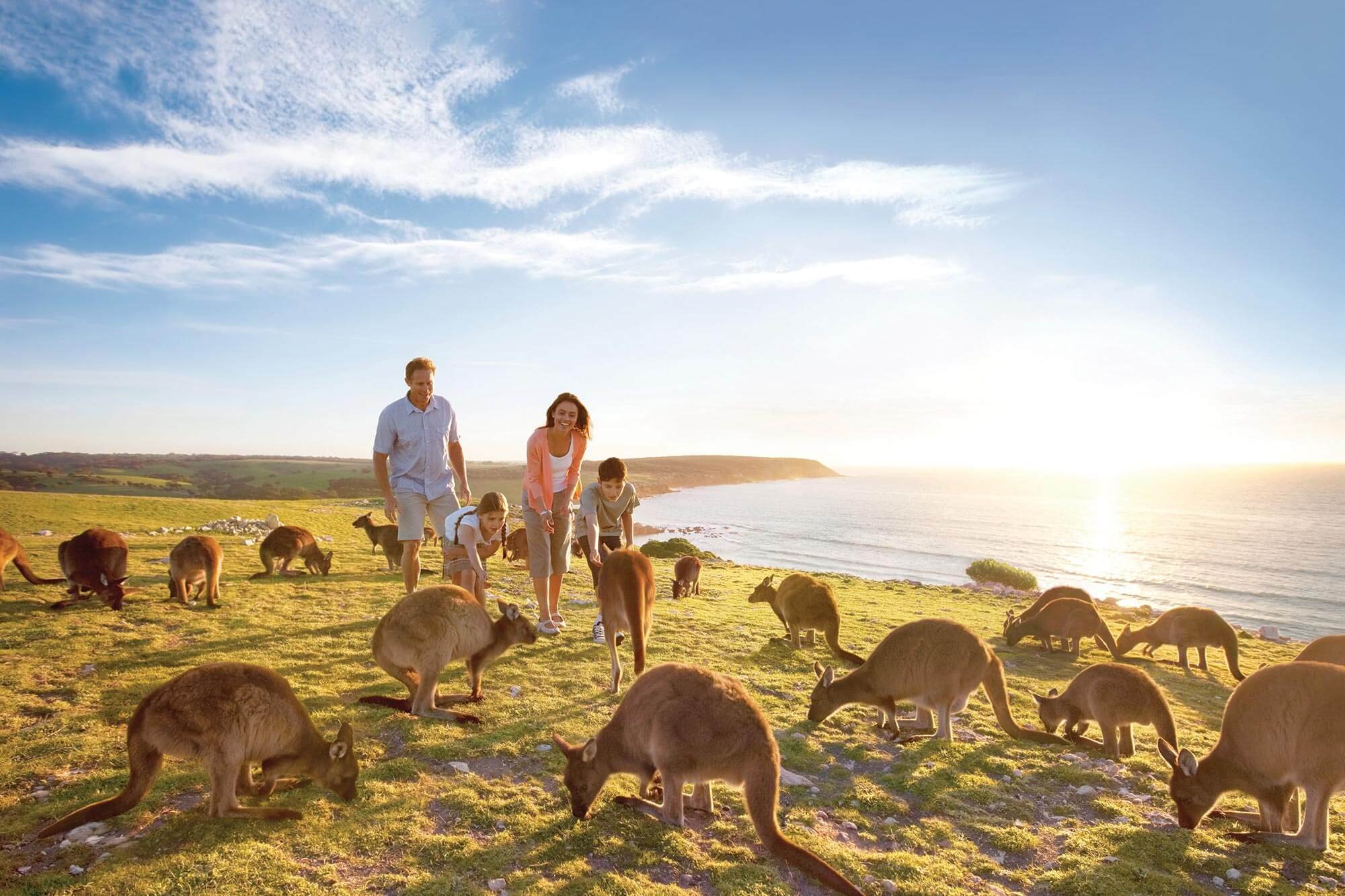 Location de camping-car - Adélaïde - Île Kangourou - Photo du jour