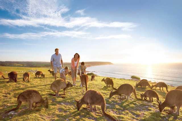 Campervan Hire - Adelaide