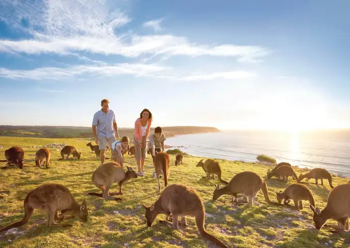 Wohnmobilvermietung - Adelaide - Kangaroo Island - Tagesfoto