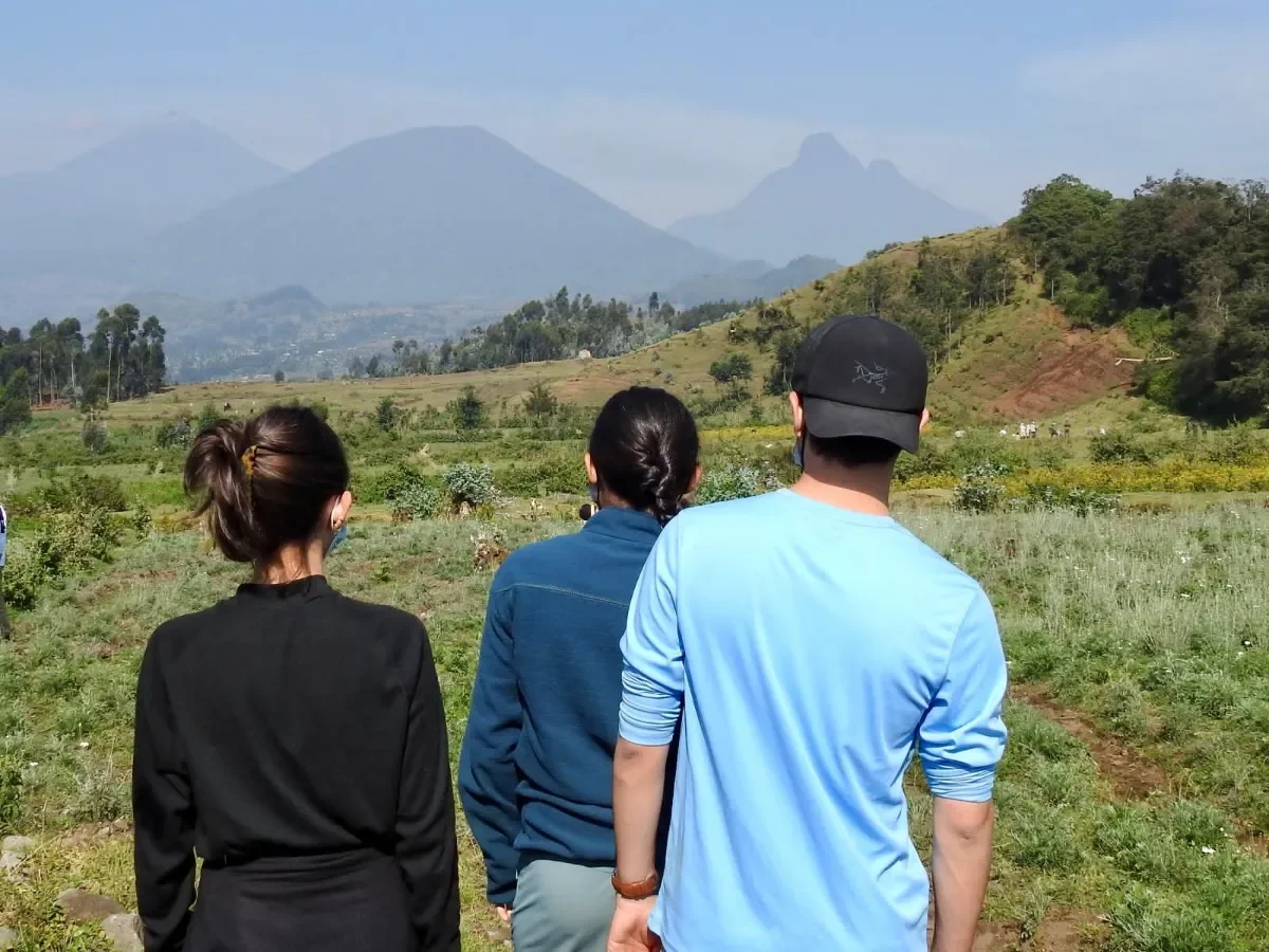 Excursión de 3 días para ver gorilas de montaña y monos dorados - Kigali a Parque Nacional de los Volcanes - Foto del día