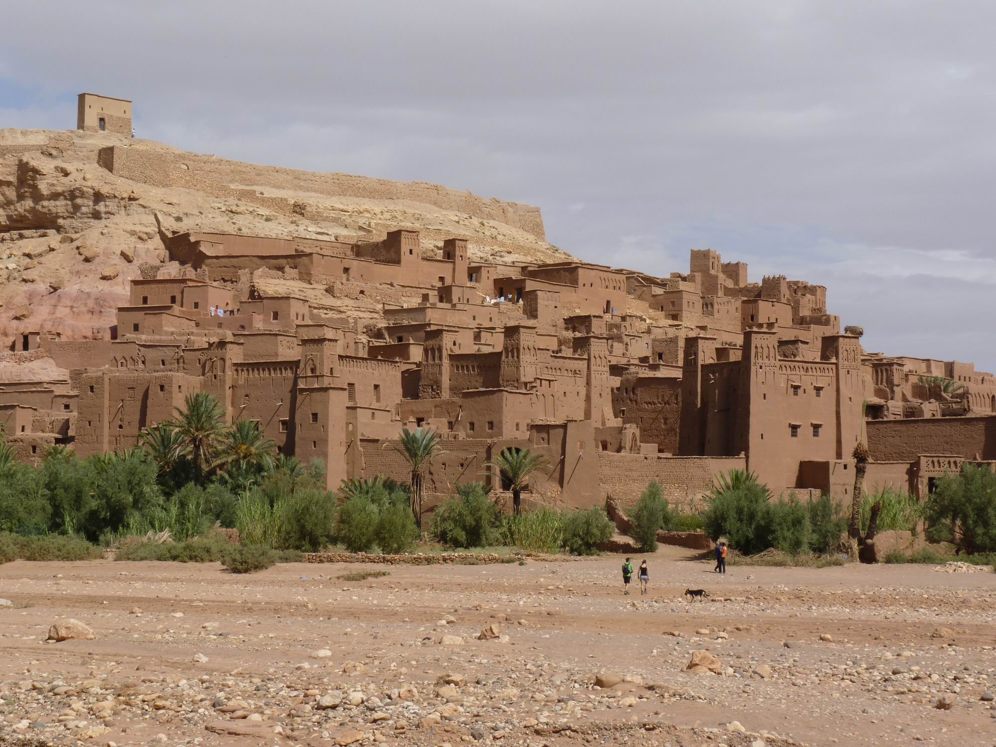 Authentic desert of the Chegaga erg - Ouarzazate - Ouarzazate