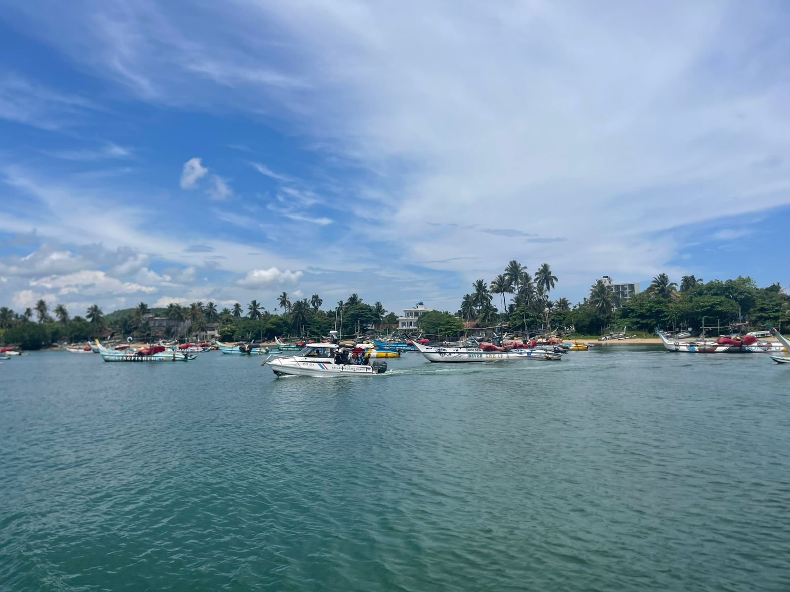 Encuentros insólitos en el país del oro verde - Paseo en barco por el río Bentota - Foto del día