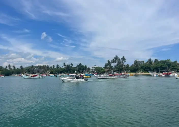 Encuentros insólitos en el país del oro verde - Paseo en barco por el río Bentota - Photo du jour