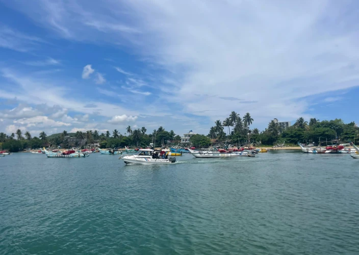 Rencontres insolites au pays de l’or vert - Balade en bateau sur la rivière de Bentota - Photo du jour