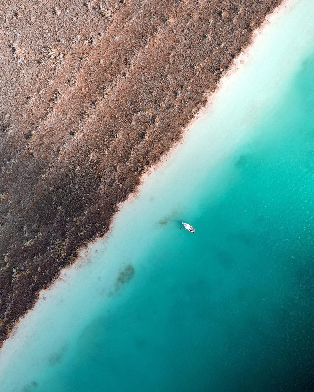 L’ANELLO DELLO YUCATÁN☀️ - Crociera in barca a vela: 3h di magia su Bacalar - Foto del giorno