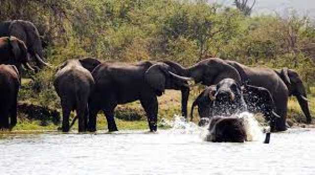 21-Day Great East Africa Expedition