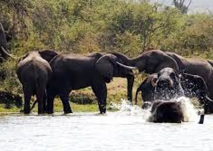 21-tägige Große Ostafrika-Expedition - null - Tagesfoto