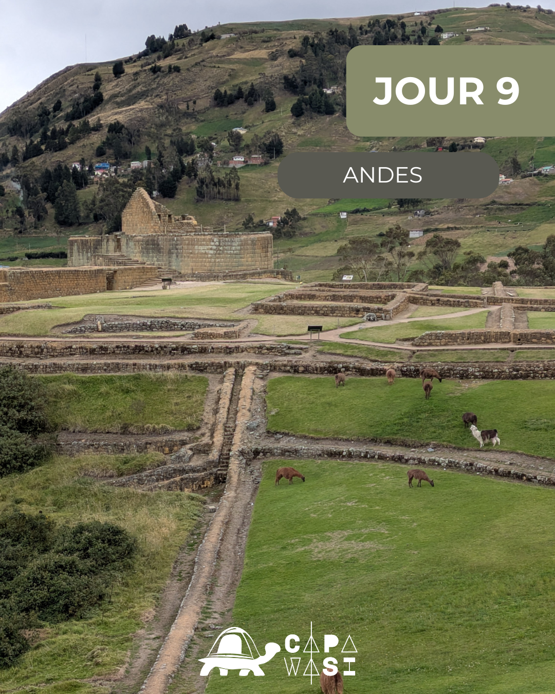 The Great Crossing of the Equator - in a small French-speaking group - Thursday - Heritage of cultures - Photo of the day