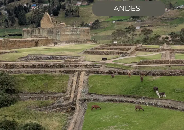 The Great Crossing of the Equator - in a small French-speaking group - Thursday - Heritage of cultures - Photo of the day