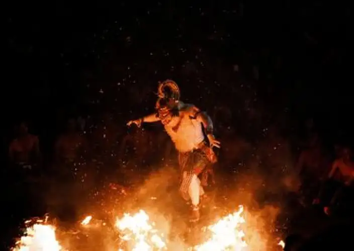 Bali en famille avec des ados : aventures, culture et moments inoubliables sur l’île des Dieux. - Les Tortues Ninja débarquent ! - Photo du jour