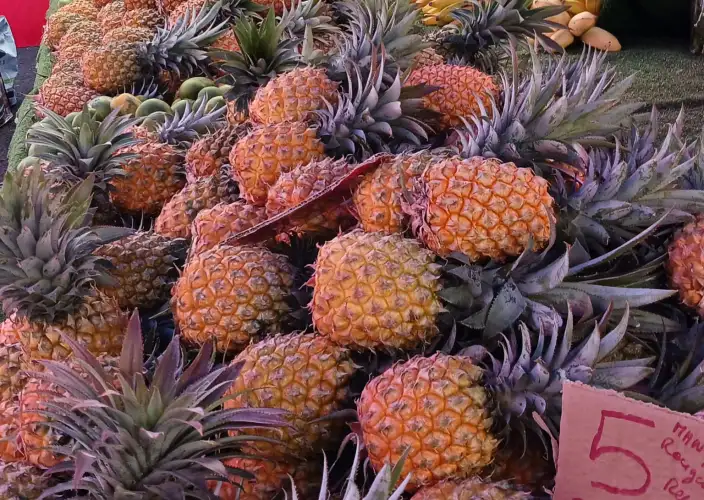 Het Essentiële van La Réunion - Sint-Pieter - Foto van de dag