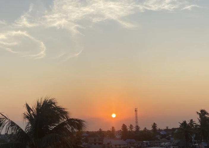 Safari de 14 jours en Tanzanie, culture et escapade à Zanzibar - Envolez-vous vers Zanzibar pour des vacances à la plage - Photo du jour