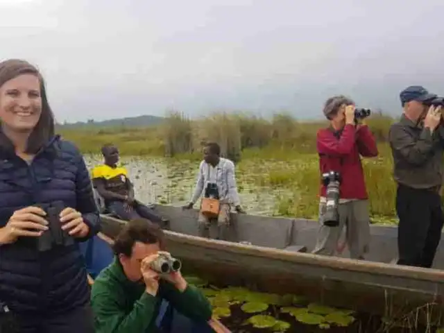 Safari d'observation des oiseaux d'1 jour : Marais de papyrus de Mabamba & Bec-en-sabot du Nil
