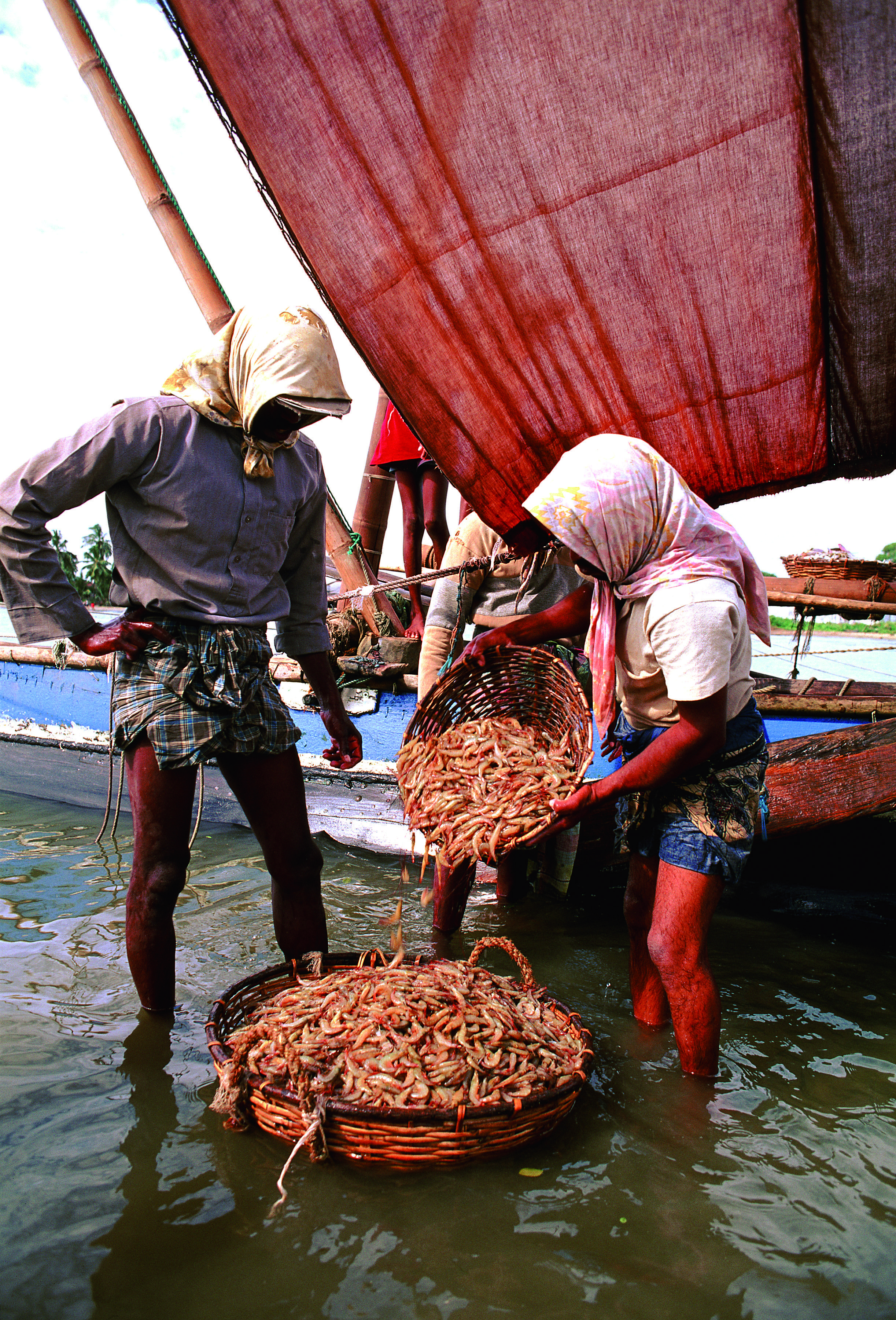 Best of Sri Lanka - KANDY - NEGOMBO (105 km - 3 h) - KANDY - NEGOMBO (105Kms - 03Hrs)