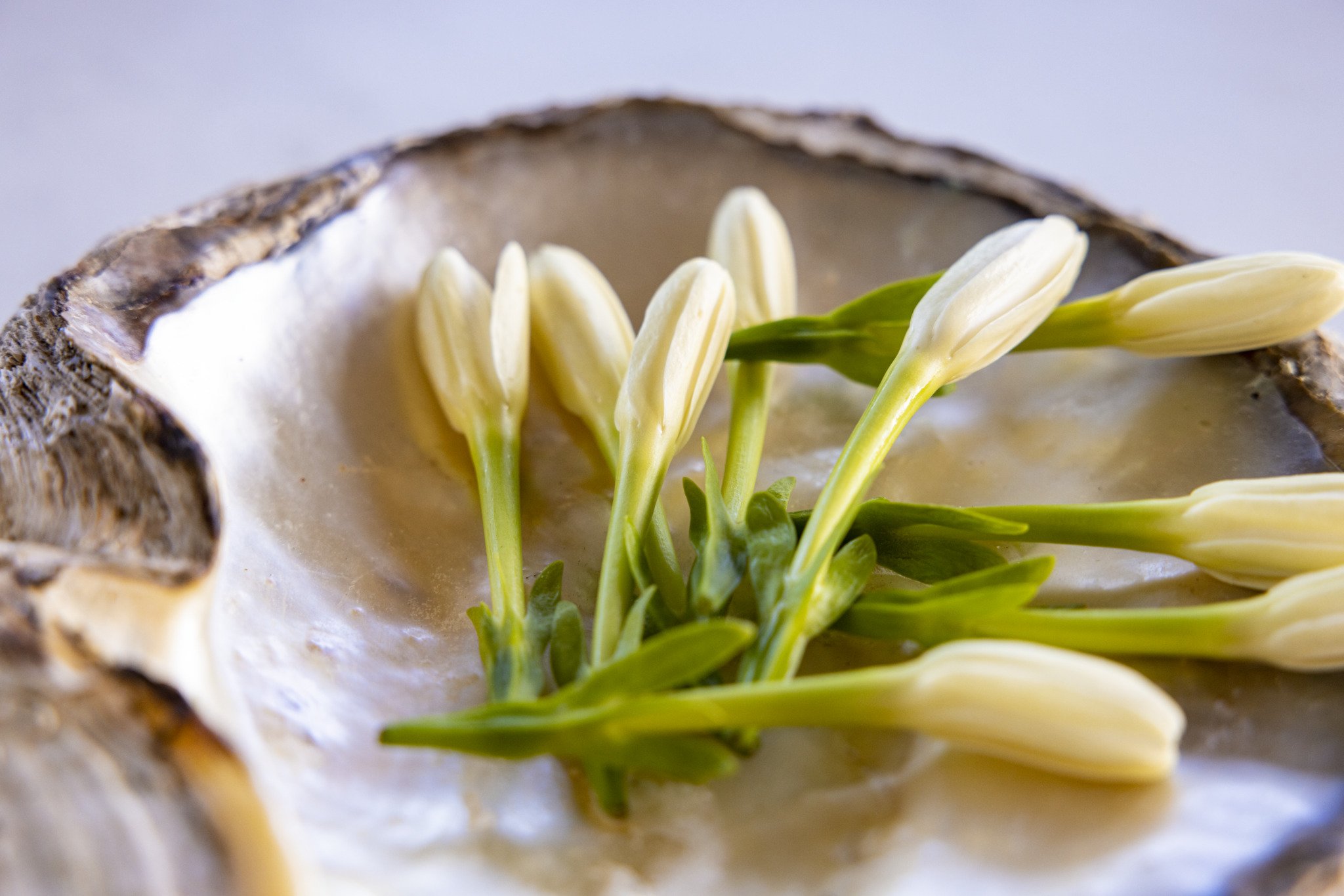 Live like Polynesians - Tahiti - Photo of the day