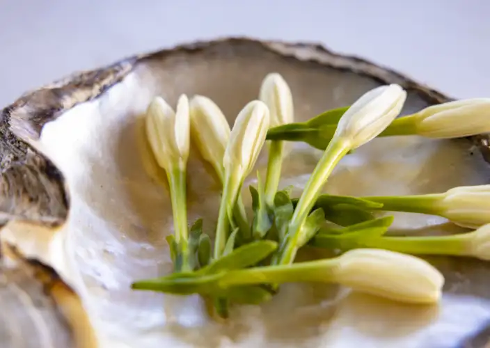 Live like Polynesians - Tahiti - Photo of the day