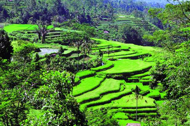 Bali : sensations en petit groupe