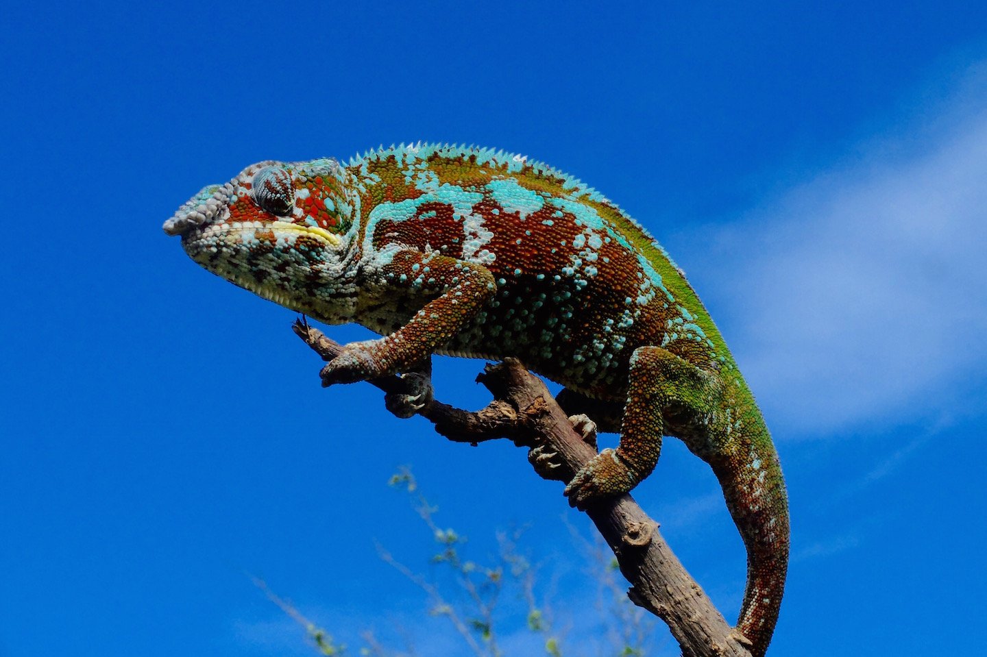Kayak de mer à l'île Sainte-Marie - Lagon vers le nord - Lagon vers le nord