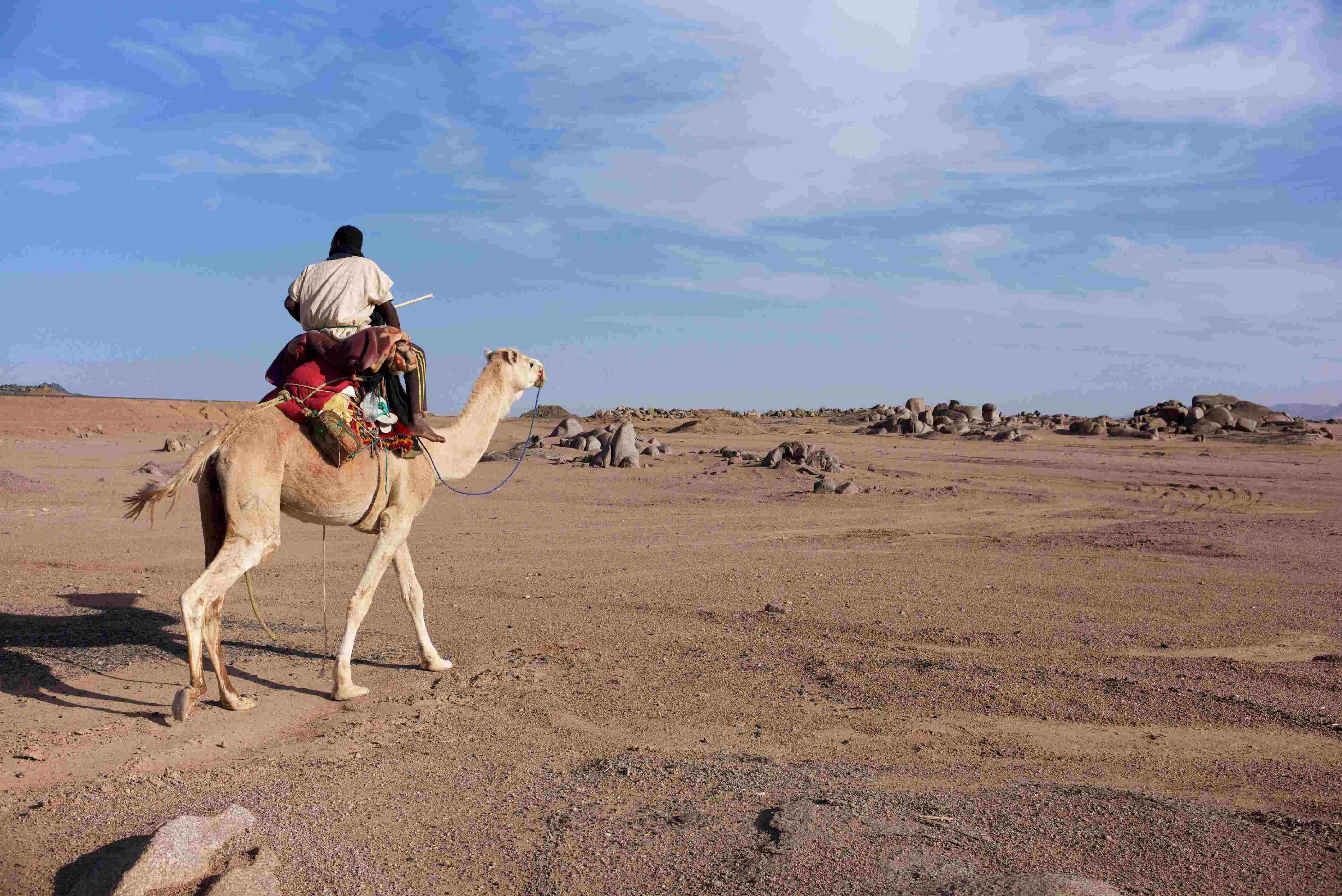De Ouadane a Chinguetti, ciudades caravaneras - Oasis de Tenouchert - Oasis de Tenouchert