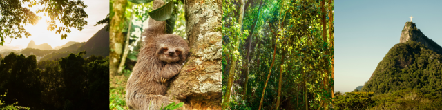 Experiência Brasileira: Rio, Iguaçu & Salvador