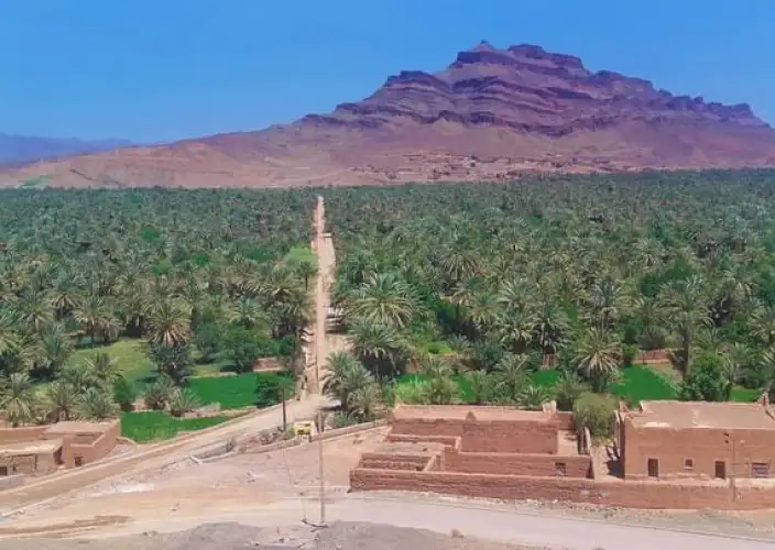 From Marrakech to the dunes of Merzouga - From the desert to the Rissani souk, then to Ouarzazate (N12) - Photo of the day