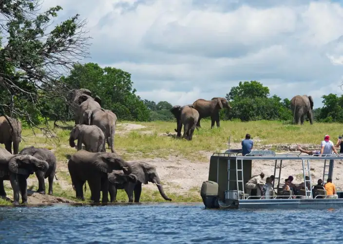 No coração dos tesouros da África Austral - O parque Chobe - Botswana - Foto do dia