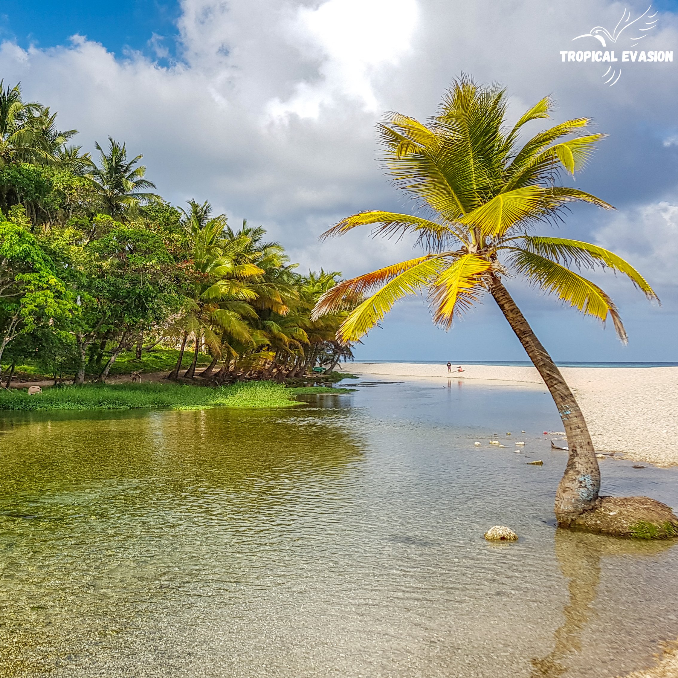 Alla scoperta del Sud Dominicano - Alla scoperta del Larimar & pranzo a Los Patos - Foto del giorno