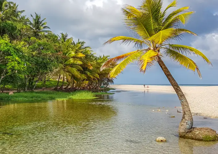 Alla scoperta del Sud Dominicano - Alla scoperta del Larimar & pranzo a Los Patos - Foto del giorno